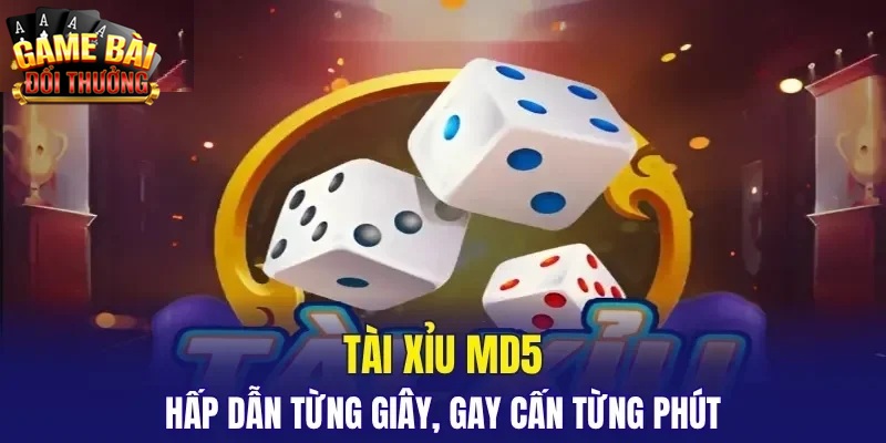 Bí kíp chơi tài xỉu MD5 từ chuyên gia